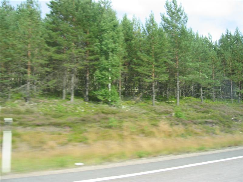 Sweden 2006-07 161